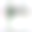 Screenshot-2025-03-21-033705.png