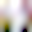 0912-fmcg-11-640x800.jpg