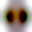 page_65b.png