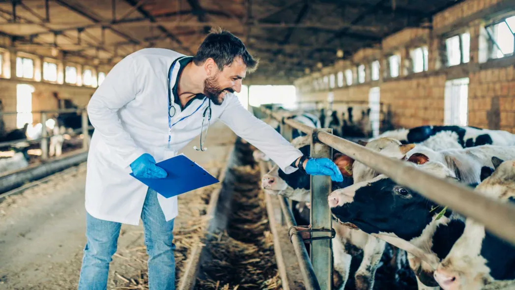 Cold Chain to Coffee: Saudi Agri‑Food Market Grows