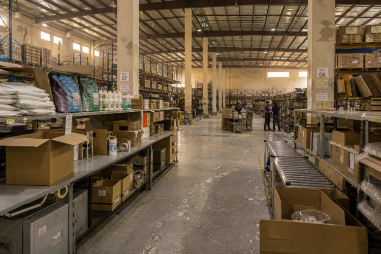 The Saudi Pet Economy: How the Saudi Arabia Pet Care Market Is Becoming a Powerful New Retail Category